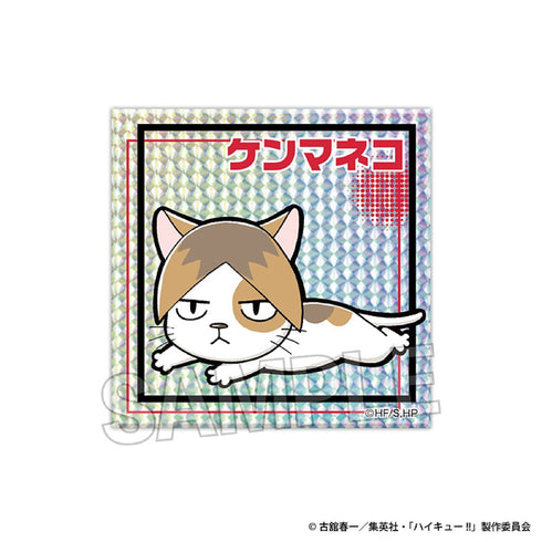 『ハイキュー!!』ギラギラブロック ケンマネコ